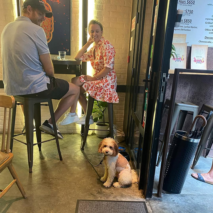 Dog-Friendly Restaurants, Cafes, Bars Hong Kong: Ollies bar and grill