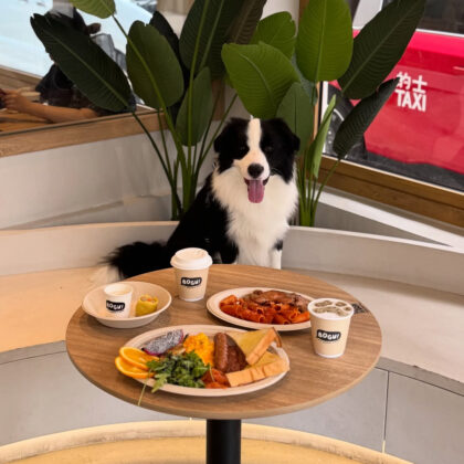 pet friendly restaurants, cafes and bars in hong kong: Bogu hong kong dog friendly cafe and restaurant