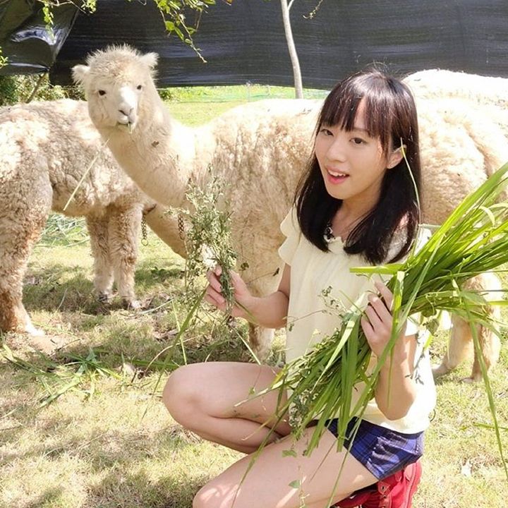 Unique and fun Things To Do In Hong Kong Whats On: Alpaca Farm at Go Green in New Territories