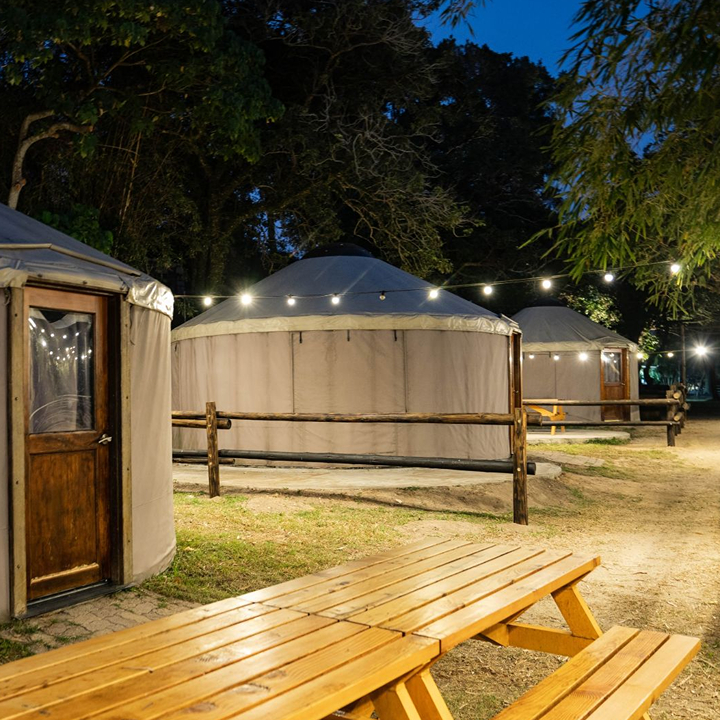 Unique Thing To Do In Hong Kong Whats On: Saiyuen camping site
