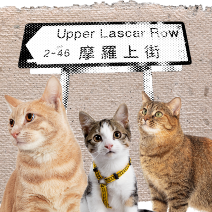 Cat Street Lascar Row Antique Coffee Sheung Wan