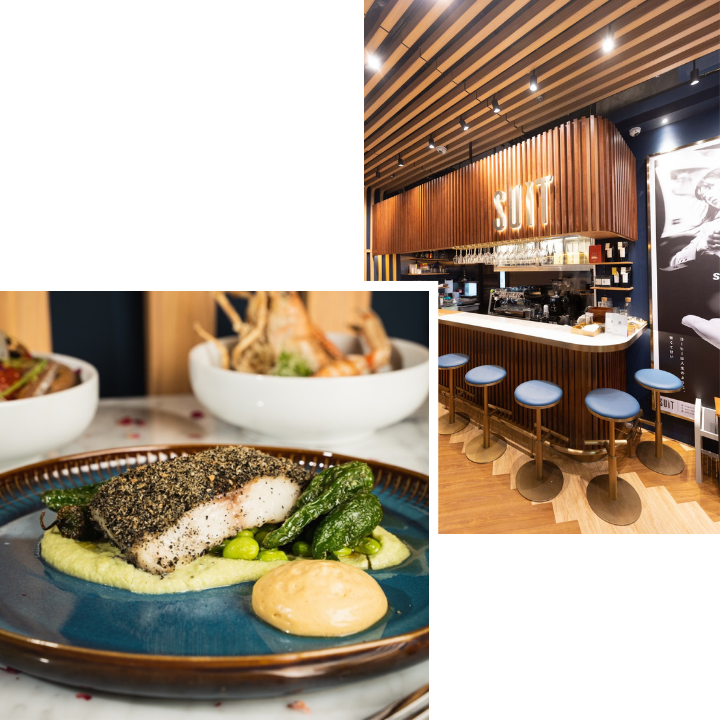 Oddle Brunch Deals: Suit