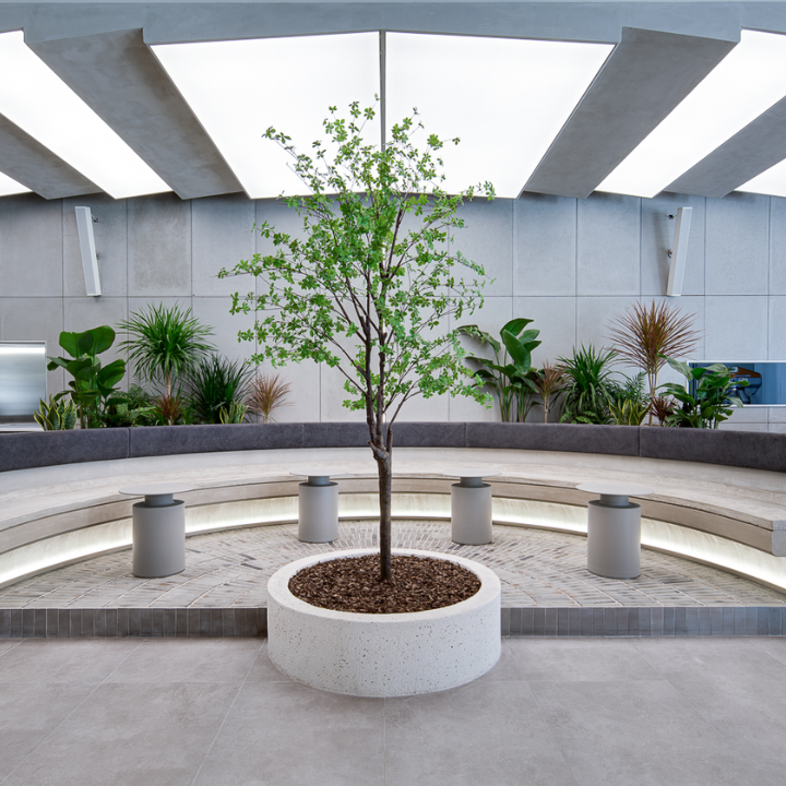 NOC Papillons & Bakery NOC's first-ever bakery space coffee and pastries